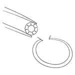 Vendor